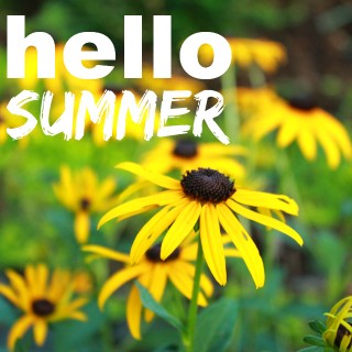 Hello Summer
