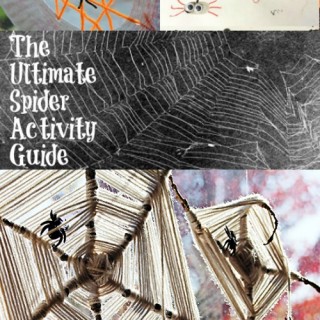 The Ultimate Spider Web Crafts and Activity Guide