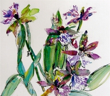 PurpleÂ Orchids