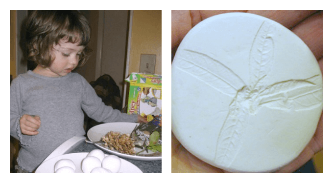 Making Nature Prints in Sculpey with Kids