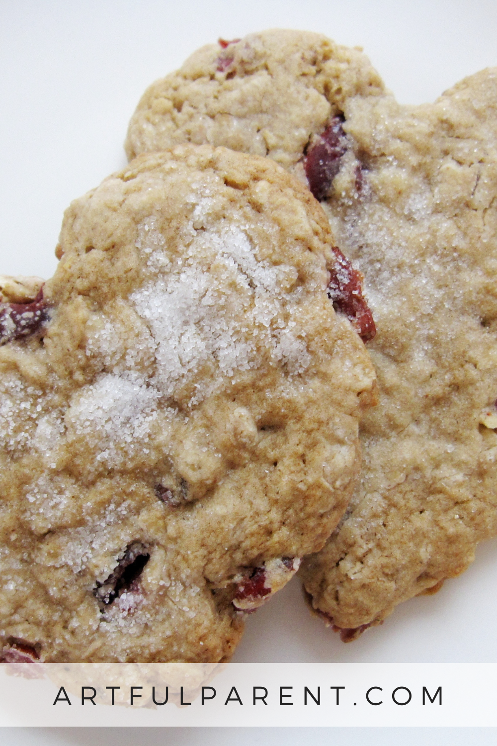 The Best Cranberry Oatmeal Cookie Recipe