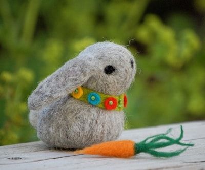 Cassi bunny giveaway