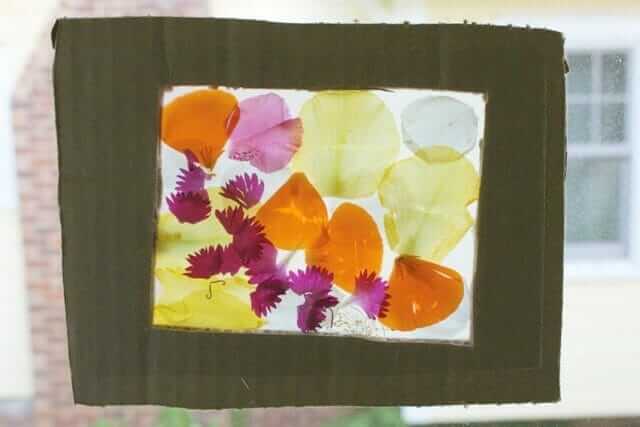 3D nature suncatcher flower petal frame