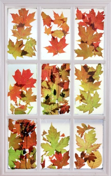 autumn leaves on stained glass window