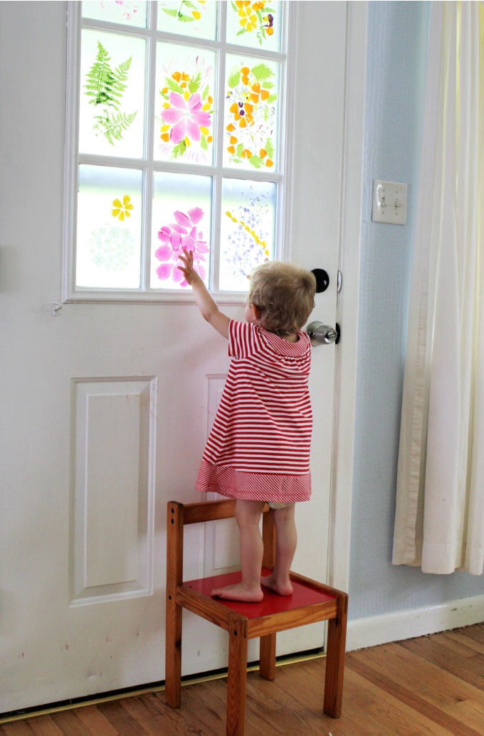 child pressing flower petals onto window