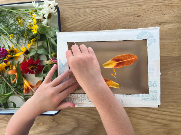 making nature suncatcher