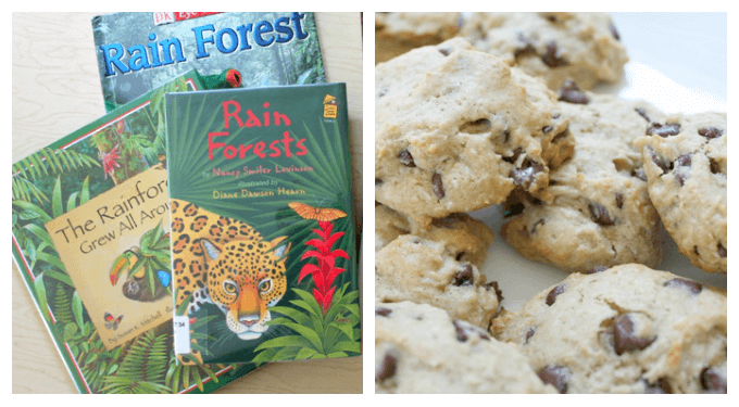 Rainforest Cookies Recipe
