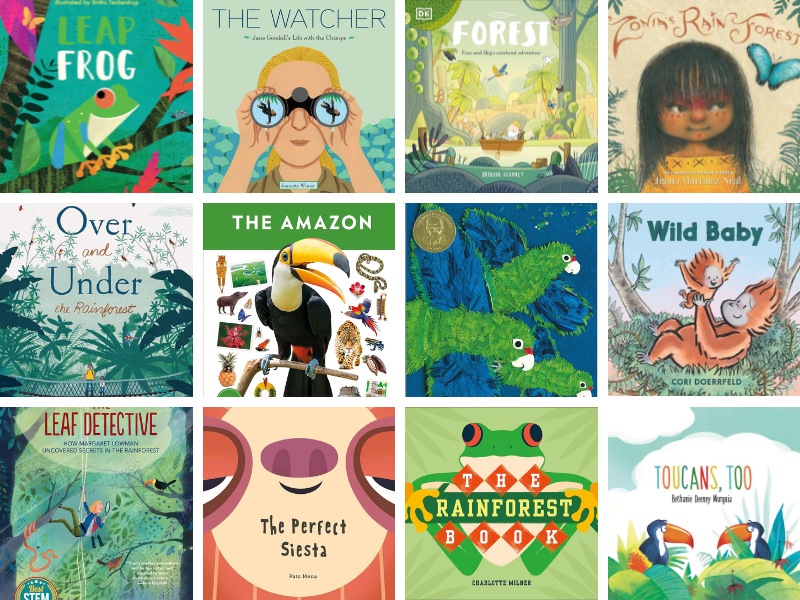 rainforest books for feature