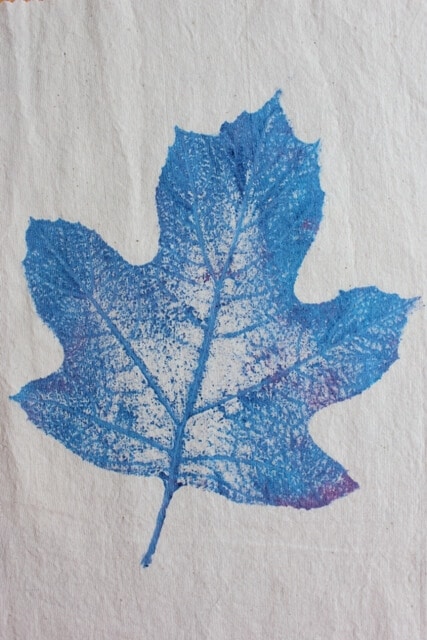 leafprints_jv_6