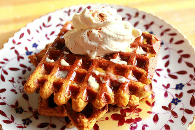 Best Healthy pumpkin waffle recipe