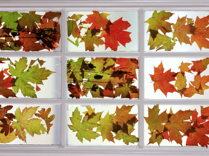 autumn leaves stained glass