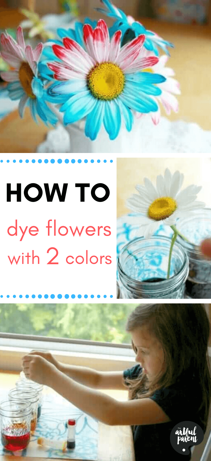 How to Dye Flowers with Two Colors