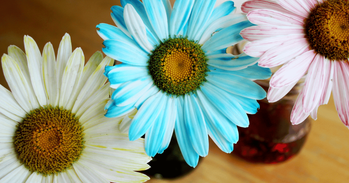 Easy Clay Flowers  How to Make a Clay Rose, Daisy, and More!