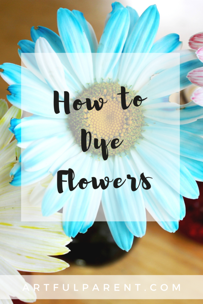 how to dye flowers pin