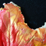 leaf casting