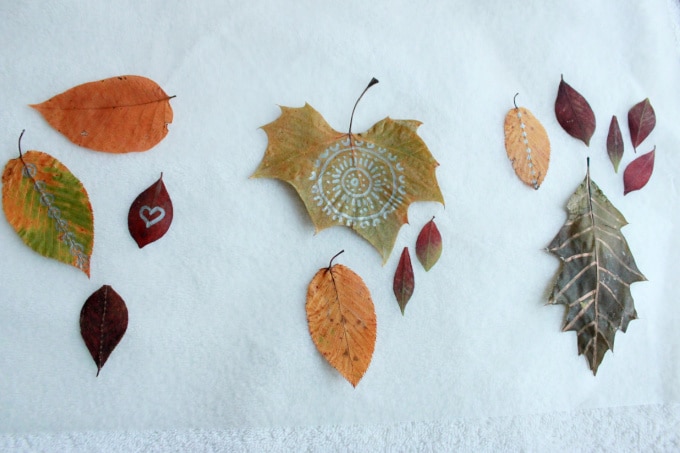 leaves laid out on wax paper