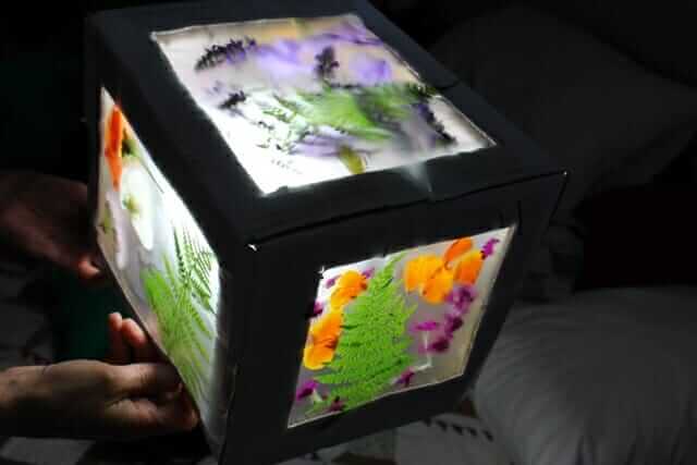 3D nature suncatcher lightbox