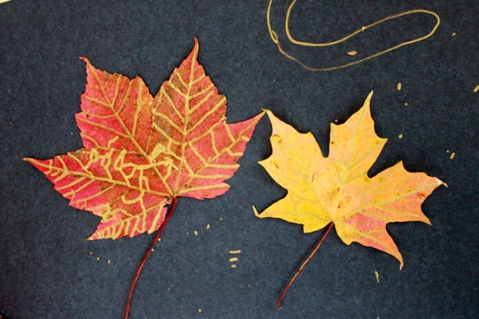 Glitter leaf craft with Autumn leaves