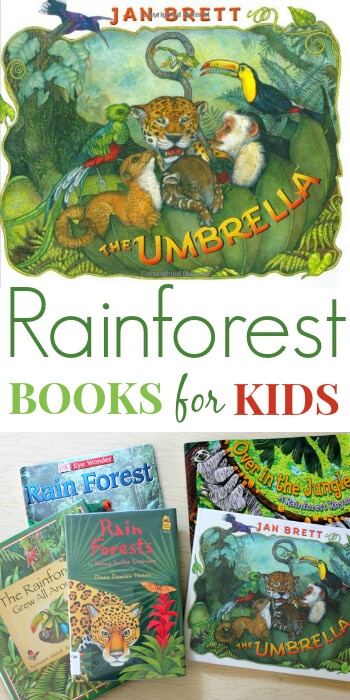 Rainforest Books for Kids - Great for Learning about Rainforest Ecosystems
