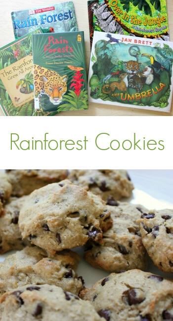 Rainforest Cookies Healthy Recipes Kids Can Make