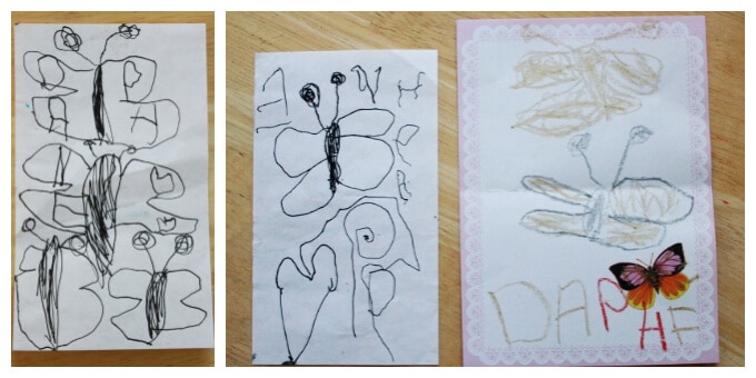 Daphne's Butterfly Drawings