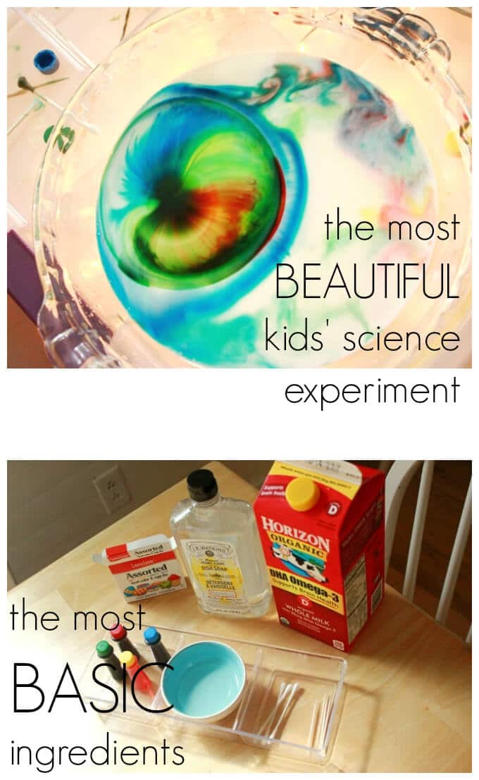 Rainbow Milk Science Experiment - Ingredients