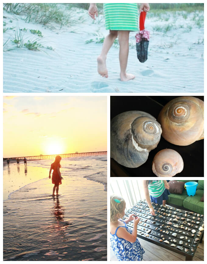 Ocean Crafts - Shell Collecting and Sorting 3