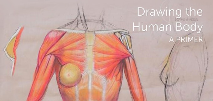 Drawing the Human Body Craftsy eGuide