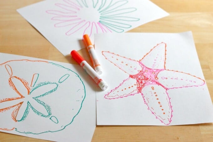 Double Doodle Starfish and Sand Dollar