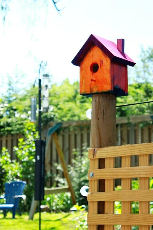 Painting Birdhouses with Kids