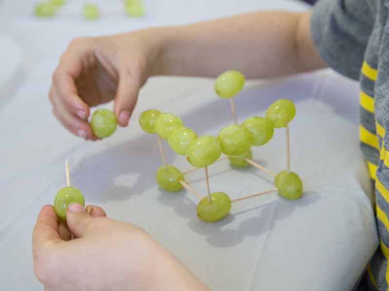 grape and toothpicks