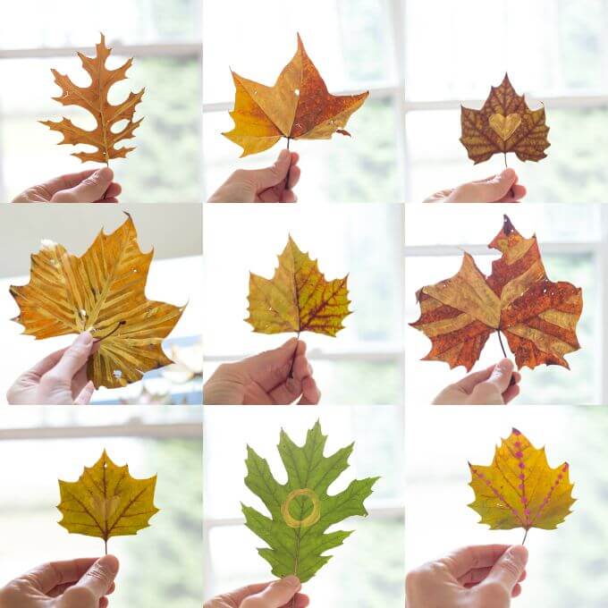 Create This Simple DIY Autumn Leaf Wreath For Fall - Painted Autumn Leaves