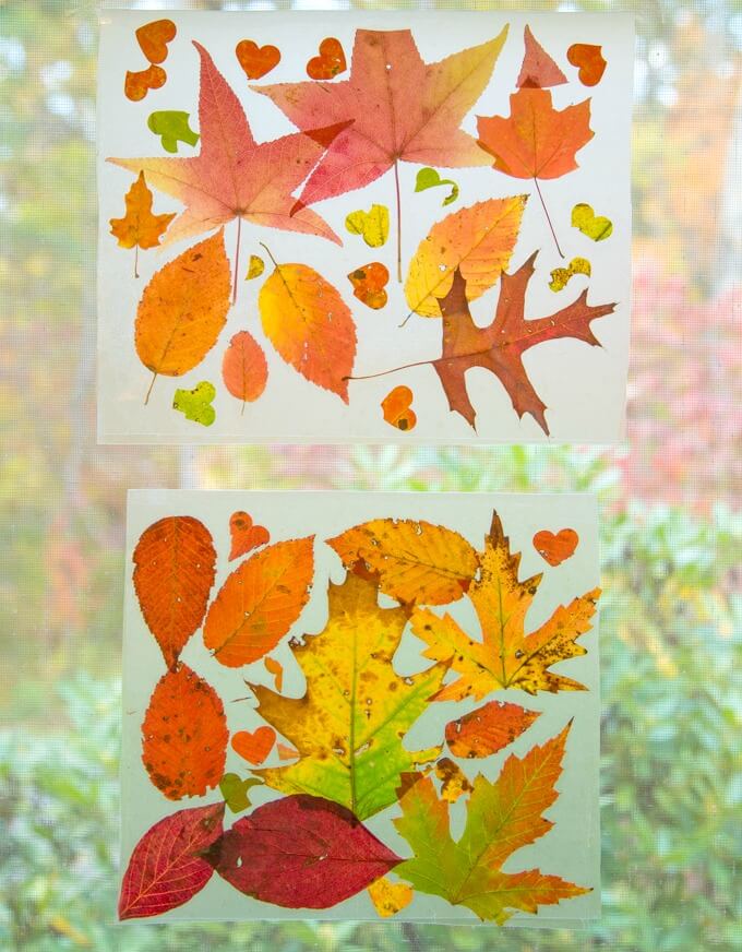 Beautiful Autumn Leaf Suncatchers