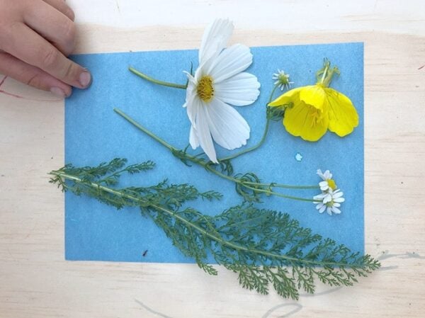 22 Nature Art Ideas for Kids