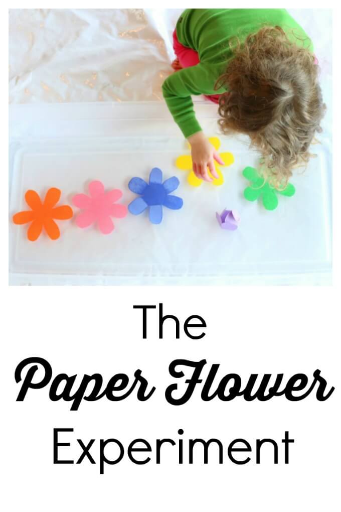 Inquiry Science for Kids and The Paper Flower Experiment