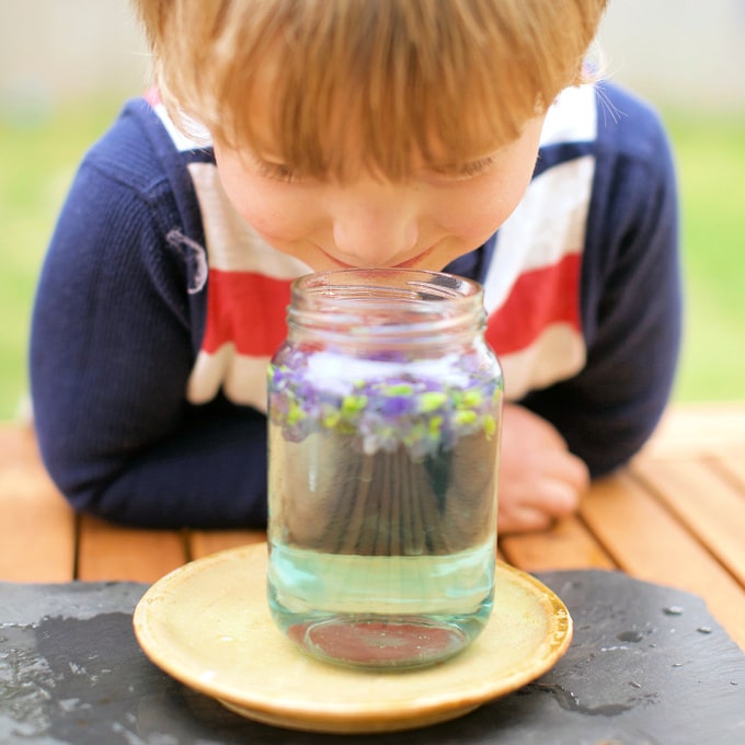 child smelling flowers in water