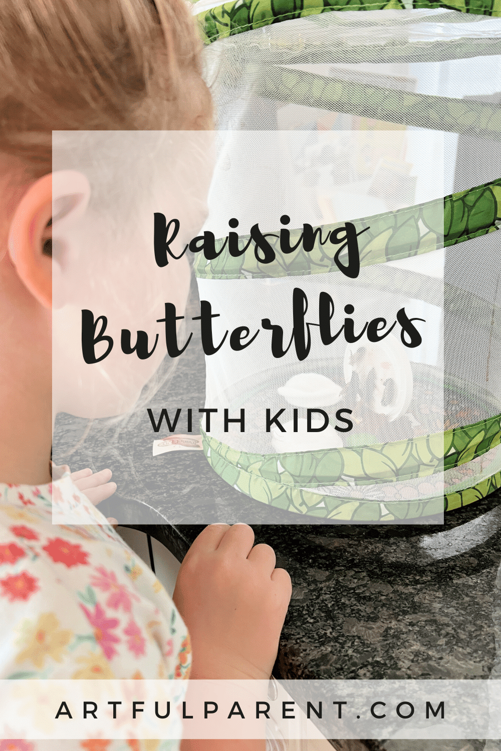 raising butterflies pin