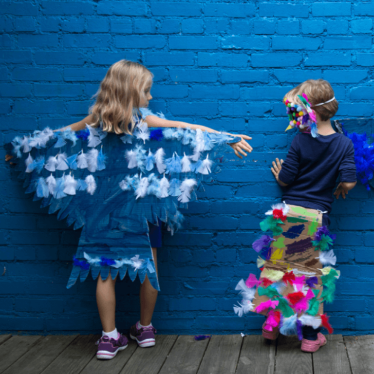 bird costumes