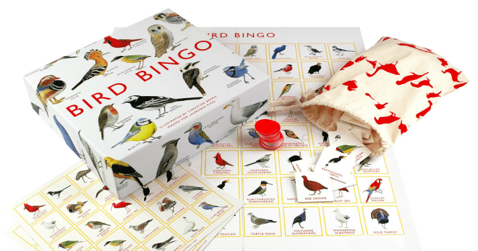 The Best Kids Games - Bird Bingo