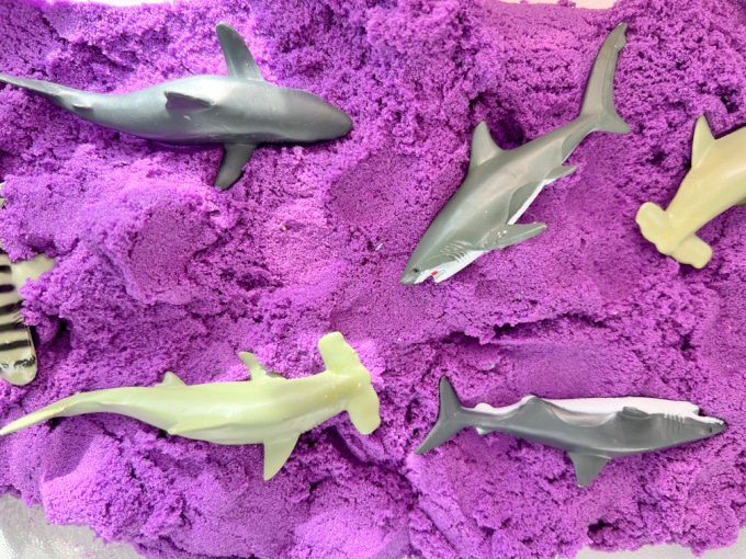toy sharks in sand - amartelle
