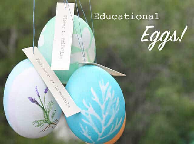 Create tags for Egg Designs by Imagine Childhood