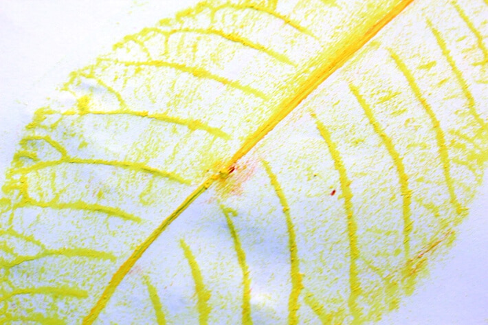 Leaf Rubbings Wreath – An Easy Fall Project for Kids
