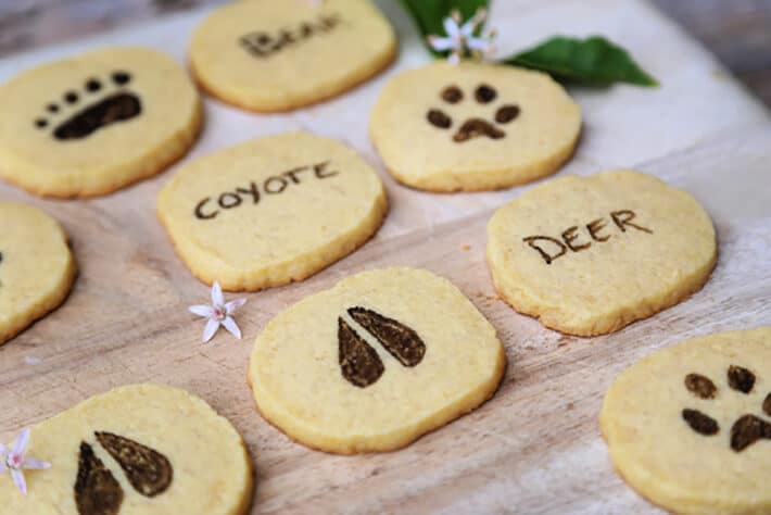 Stamped Cookies for Nature Unit