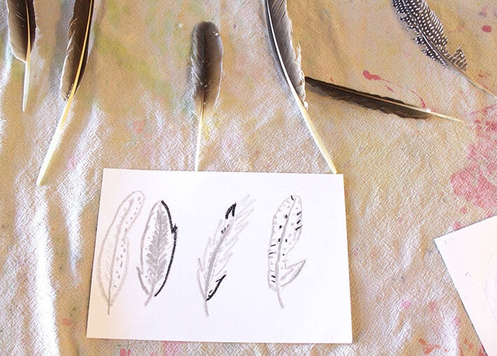 Nature Drawing for kids – Four feathers drawn on paper with bird feathers laying on table