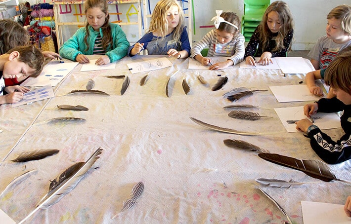 Group of student with paper & oil pastels observing feathers on table – easy nature drawing ideas for kids