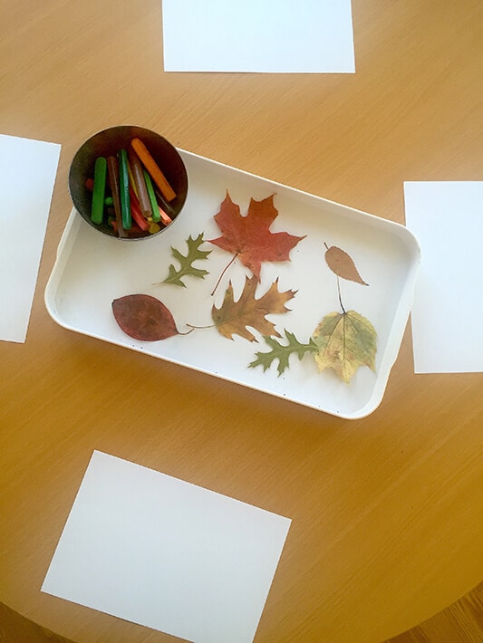Leaves, paper and pastels laid out for nature inspired art project