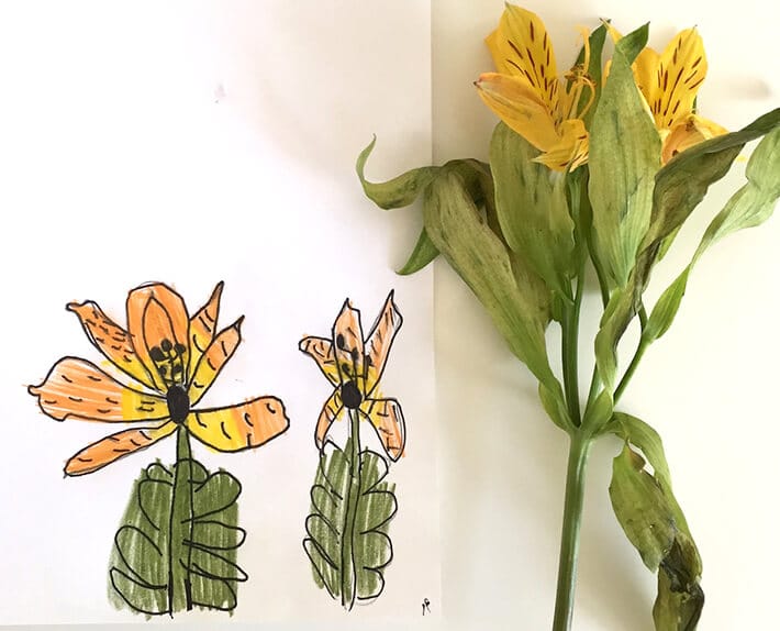 Nature inspired art – observational flower drawing for kids