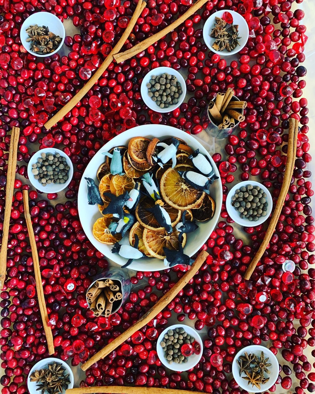 Winter themed sensory bin with cinnamon sticks, cranberries & orange slices