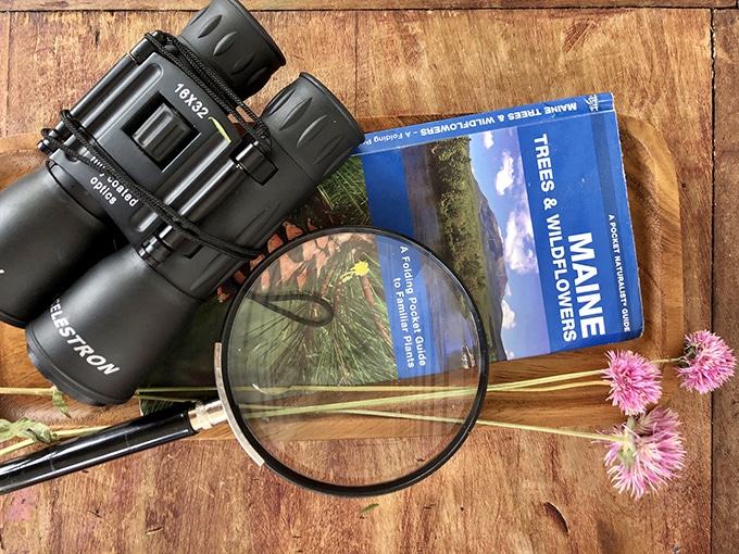 Binoculars magnifying glass with Maine nature guide pamphlet — Activity Craft Holidays, Kids, Tips