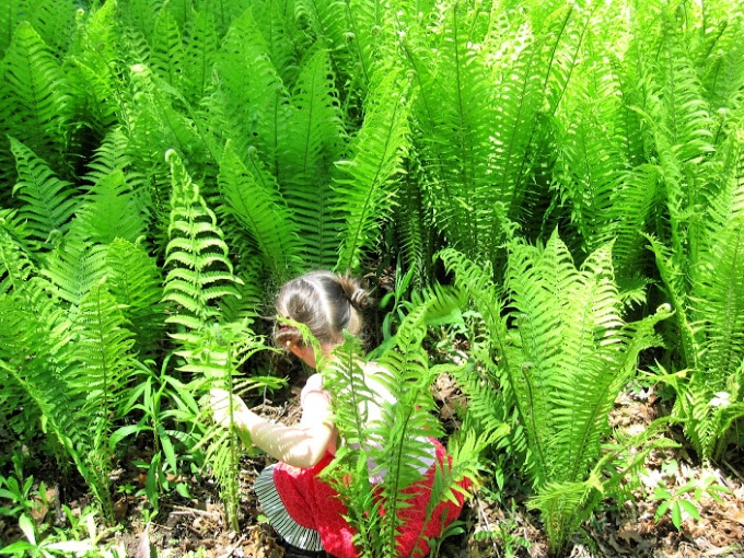 Young child among ferns and nature walk activities for kids — Activity Craft Holidays, Kids, Tips